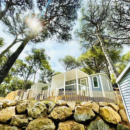 Interpals Eco Resort-2